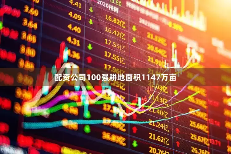 配资公司100强耕地面积1147万亩